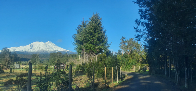 Hermosa casa en el corazón de Ensenada - Puerto Varas