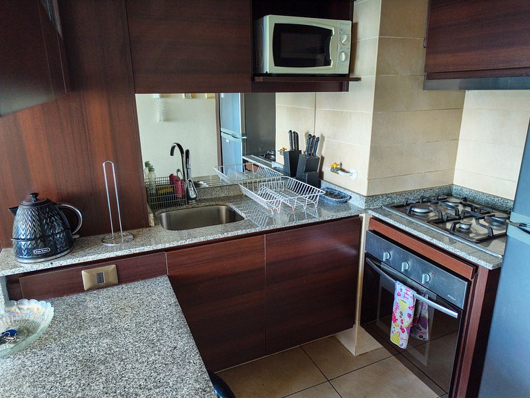 Geomar Beautiful Ocean View Apartment in Concón