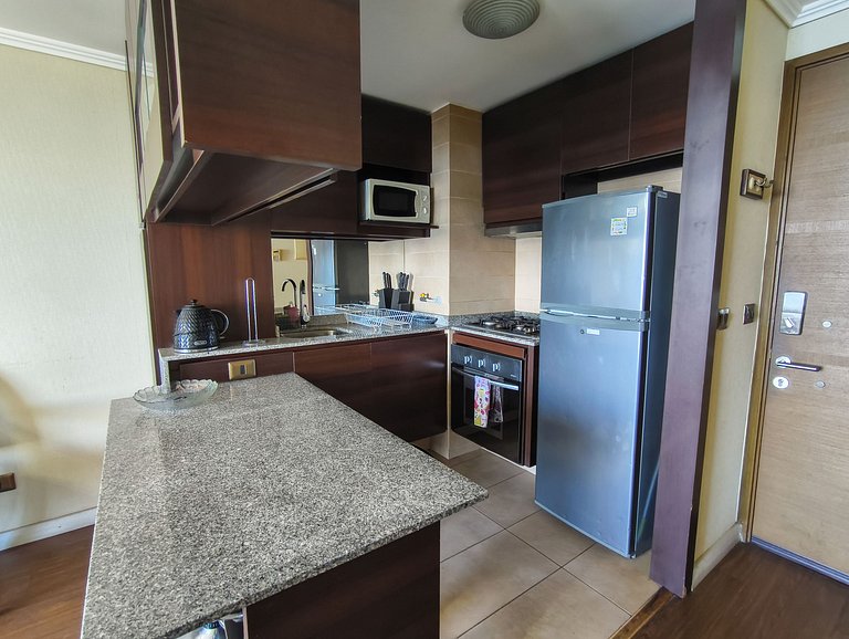 Geomar Beautiful Ocean View Apartment in Concón