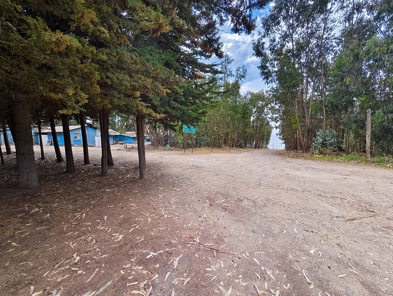 Sea view, beach access, and a huge garden.