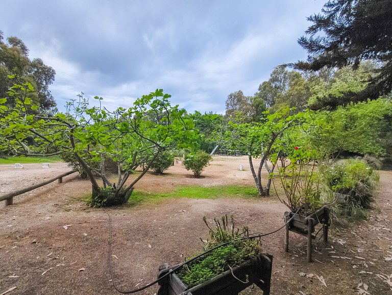 Vista al mar, acceso a la playa y jardín