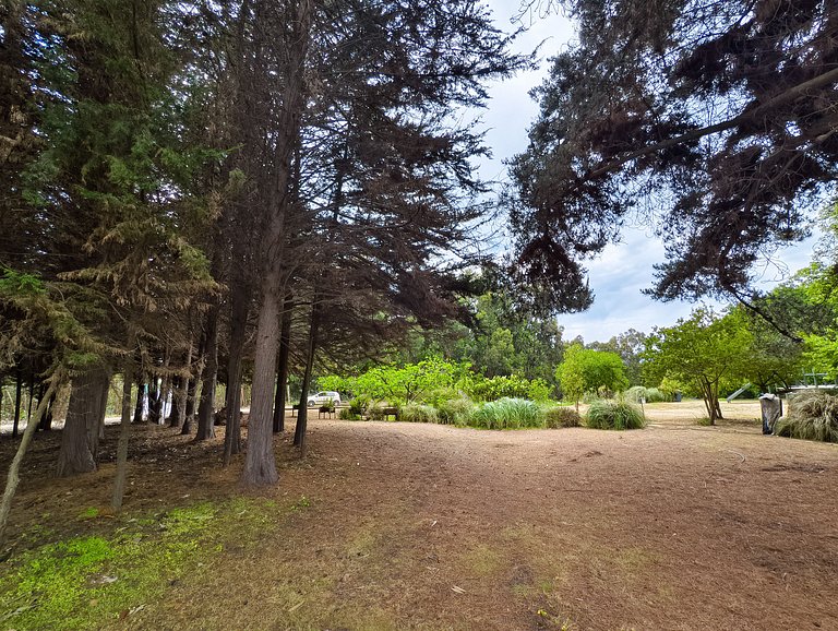 Sea view, beach access, and a huge garden.