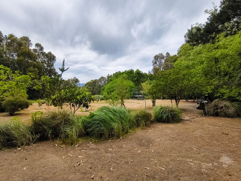 Sea view, beach access, and a huge garden.