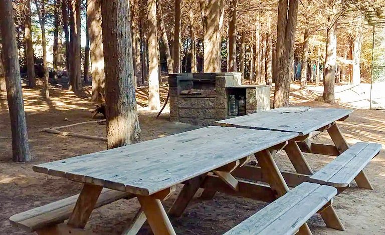 Sea view, beach access, and a huge garden.