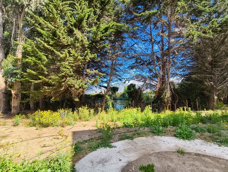 Apt for 7 in Puyai - WiFi, pool, and barbecue area