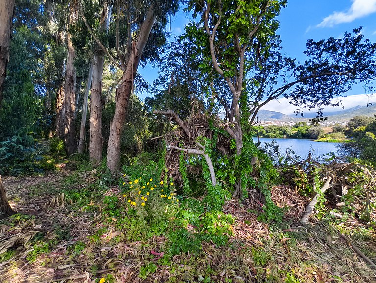 Apt for 7 in Puyai - WiFi, pool, and barbecue area