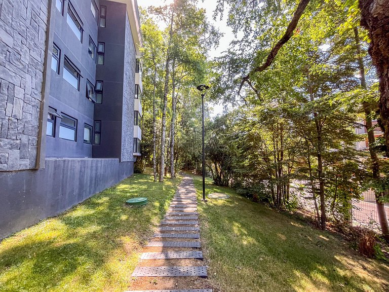 Beautiful, spacious, and modern apartment in Pucón