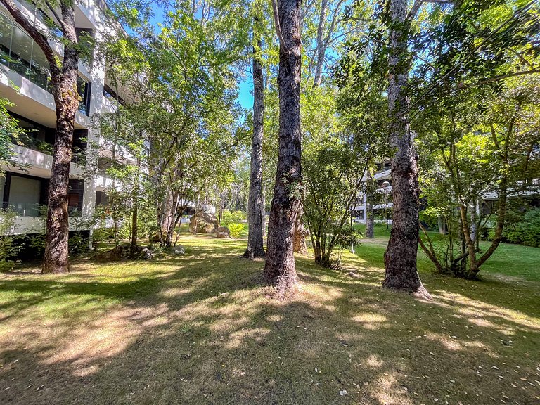 Beautiful, spacious, and modern apartment in Pucón