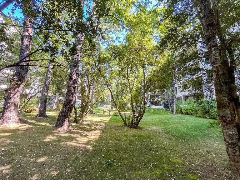 Beautiful, spacious, and modern apartment in Pucón