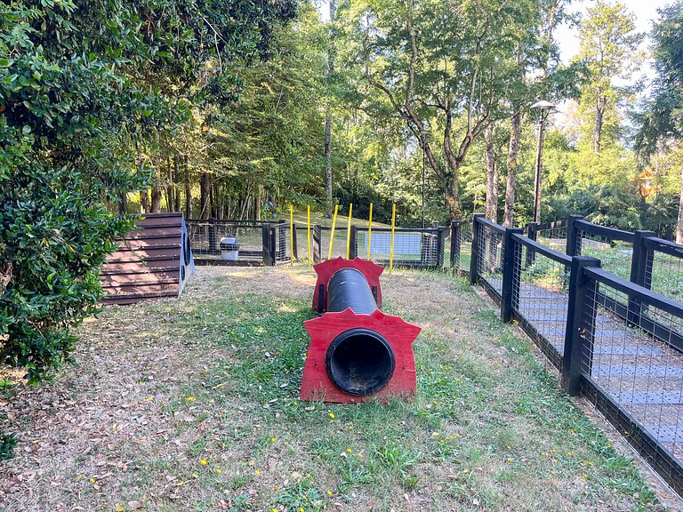 Beautiful, spacious, and modern apartment in Pucón
