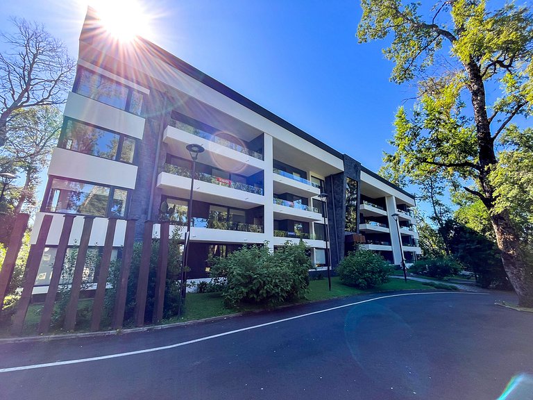 Beautiful, spacious, and modern apartment in Pucón
