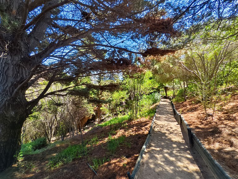 Maravilloso depto. para 5 - vista al mar