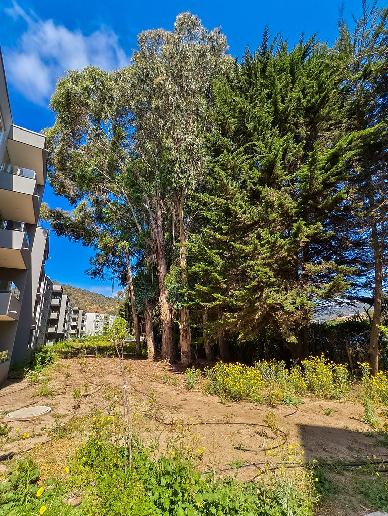 Acogedor y moderno depto. en Lomas de Puyai