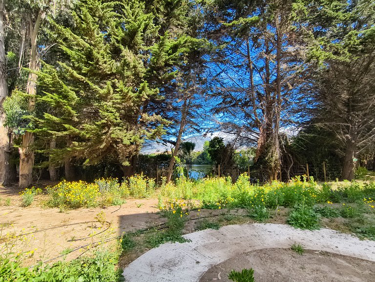 Acogedor y moderno depto. en Lomas de Puyai