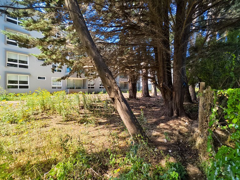 Acogedor y moderno depto. en Lomas de Puyai