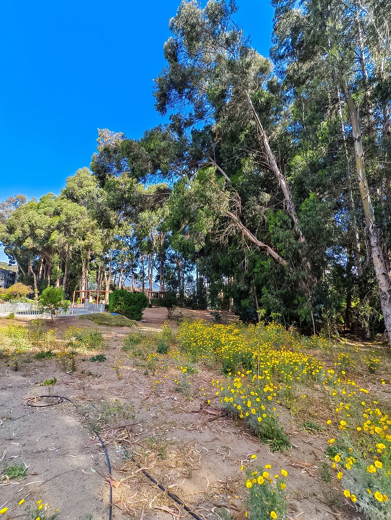 Acogedor y moderno depto. en Lomas de Puyai