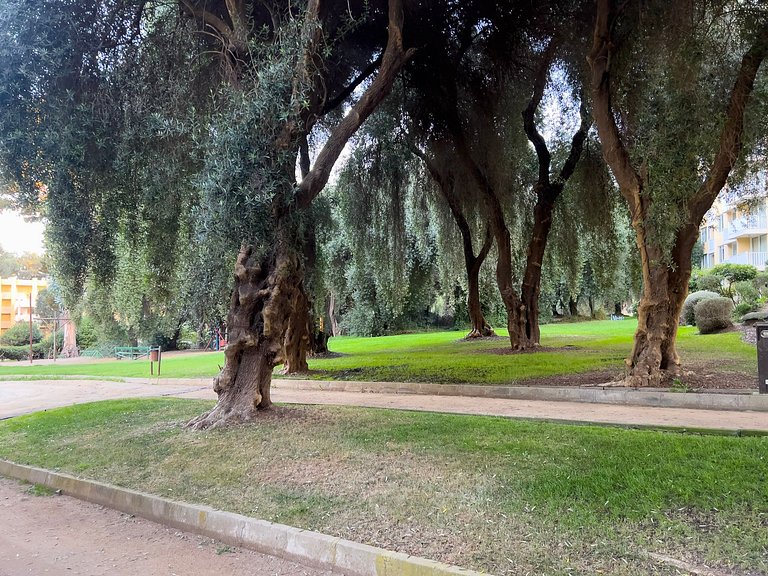 Encanto costero: depto. Bahía Pelícanos para 2