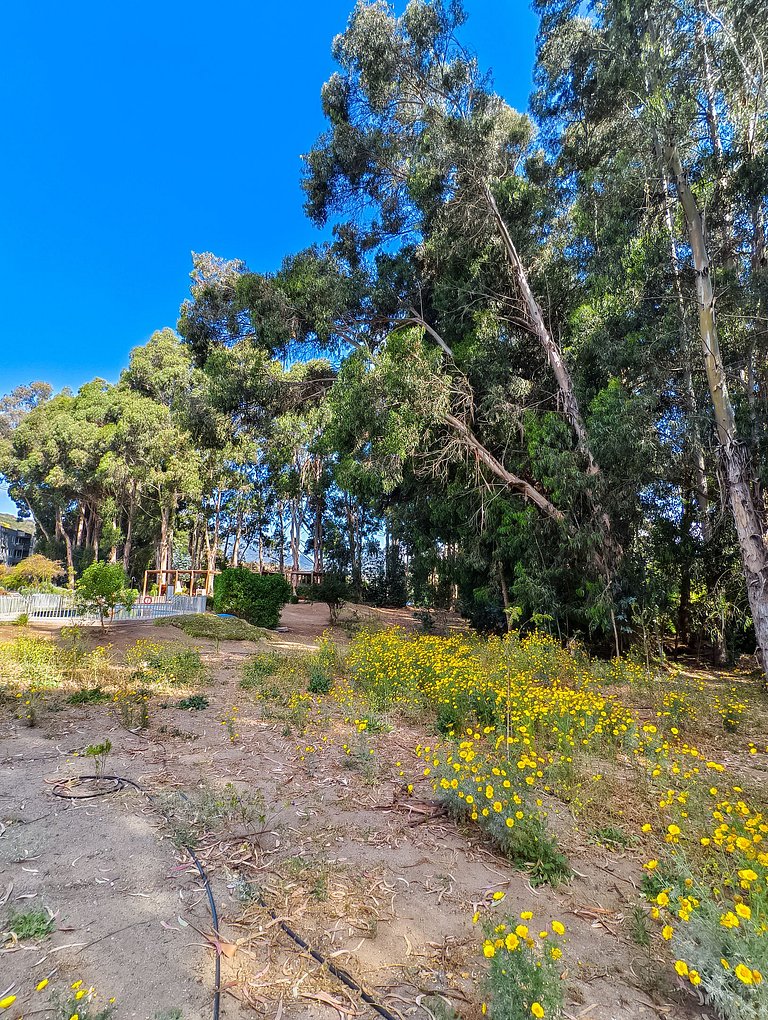 Departamento para 6 en Lomas de Puyai