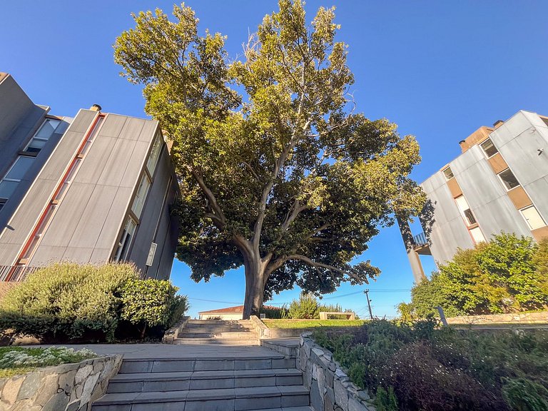 Cómodo dpto para 4 en Cerro Alegre - Valparaíso